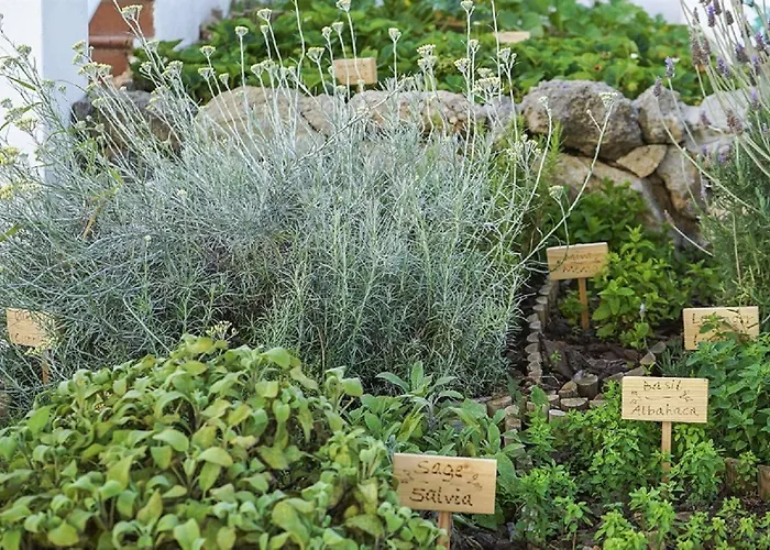 Apartahotel White Sands Club Arenal d'en Castell